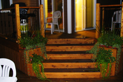 Image de patio